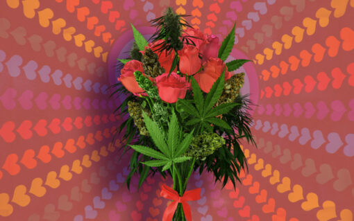 Can cannabis enhance your valentine's day experience